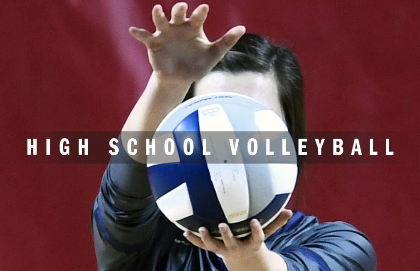 High school volleyball logo 2014